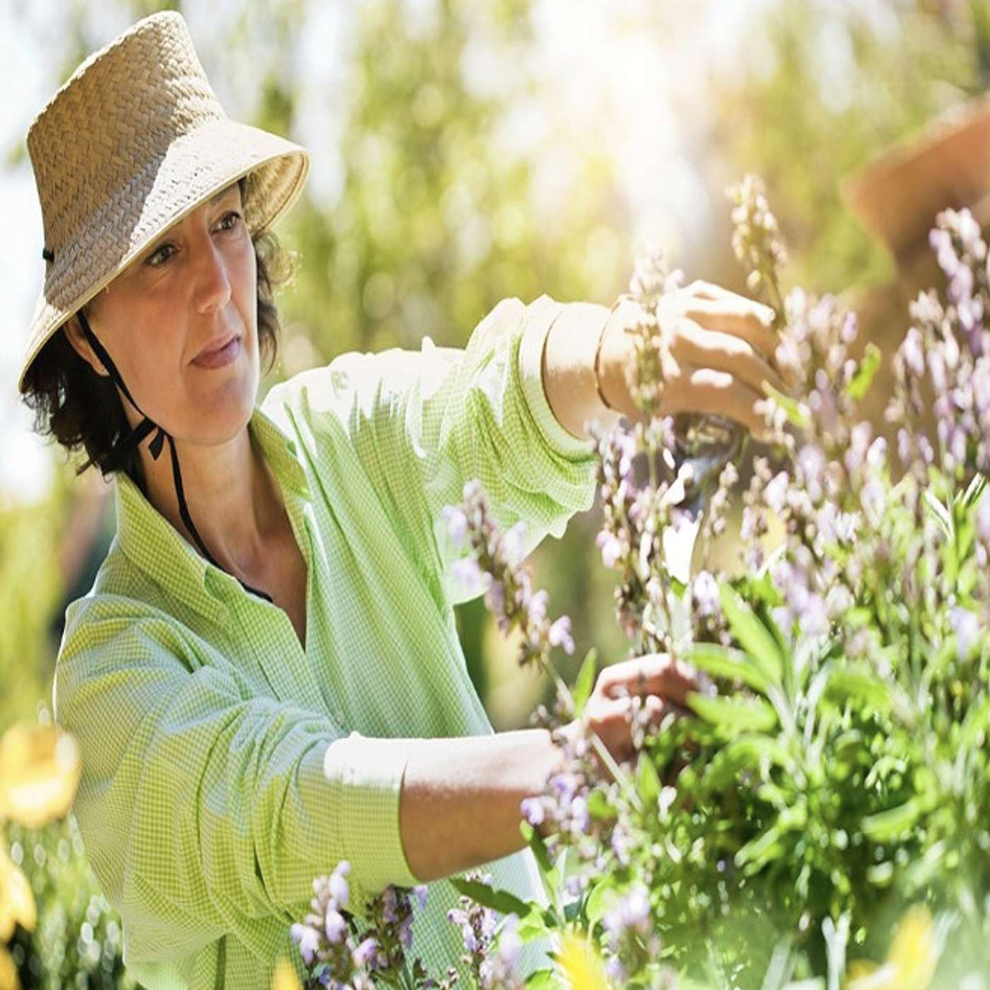 30 Reasons Why People Like to Garden Summed Up