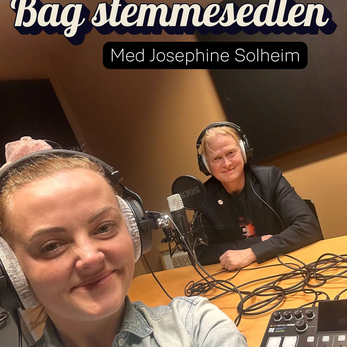 Bag stemmesedlen