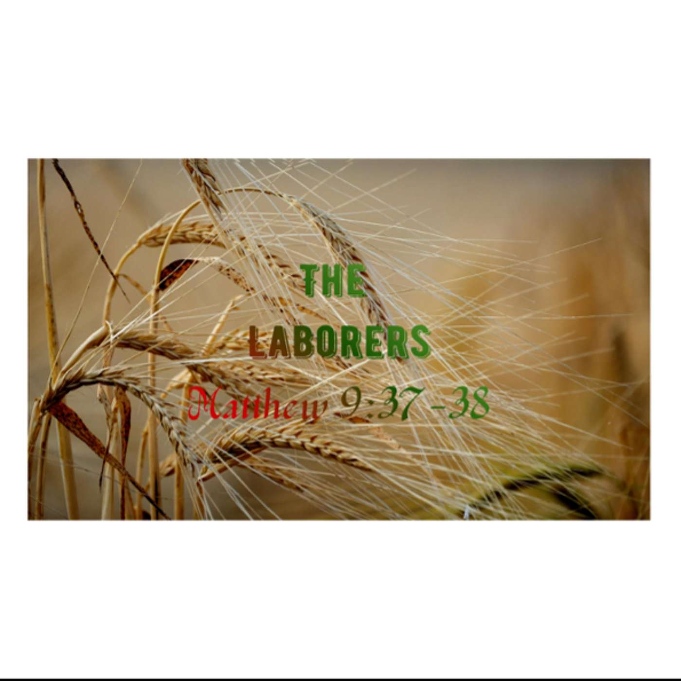 The Laborers cover art