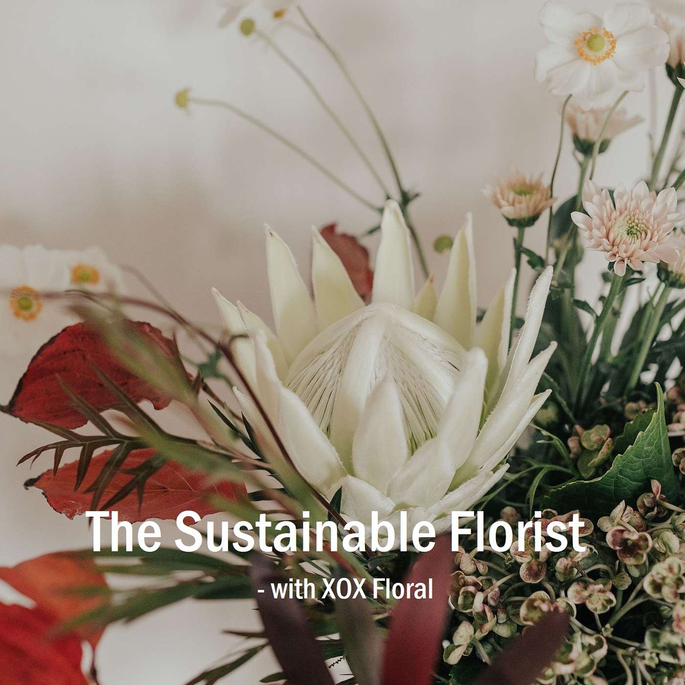 XOX Floral - The Sustainable Florist podcast artwork