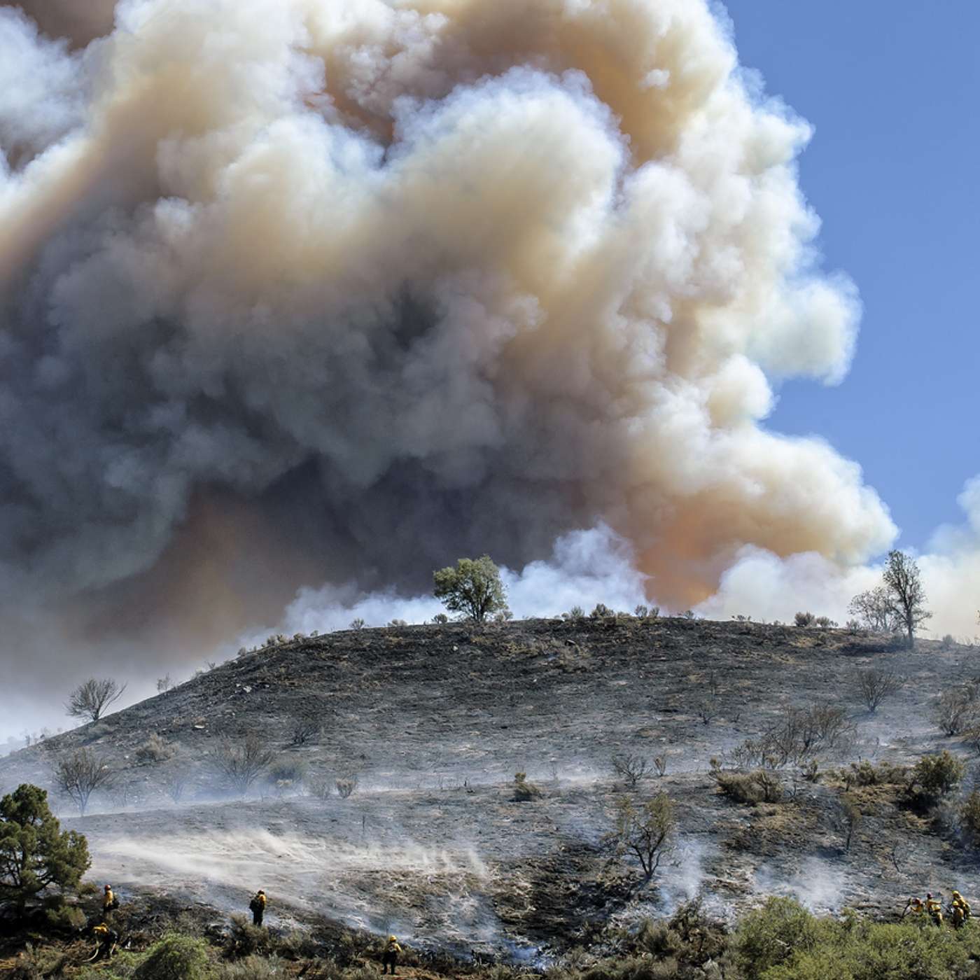 Episode #6: Why is smoke forecasting difficult? Episode #6: Why is smoke forecasting difficult?