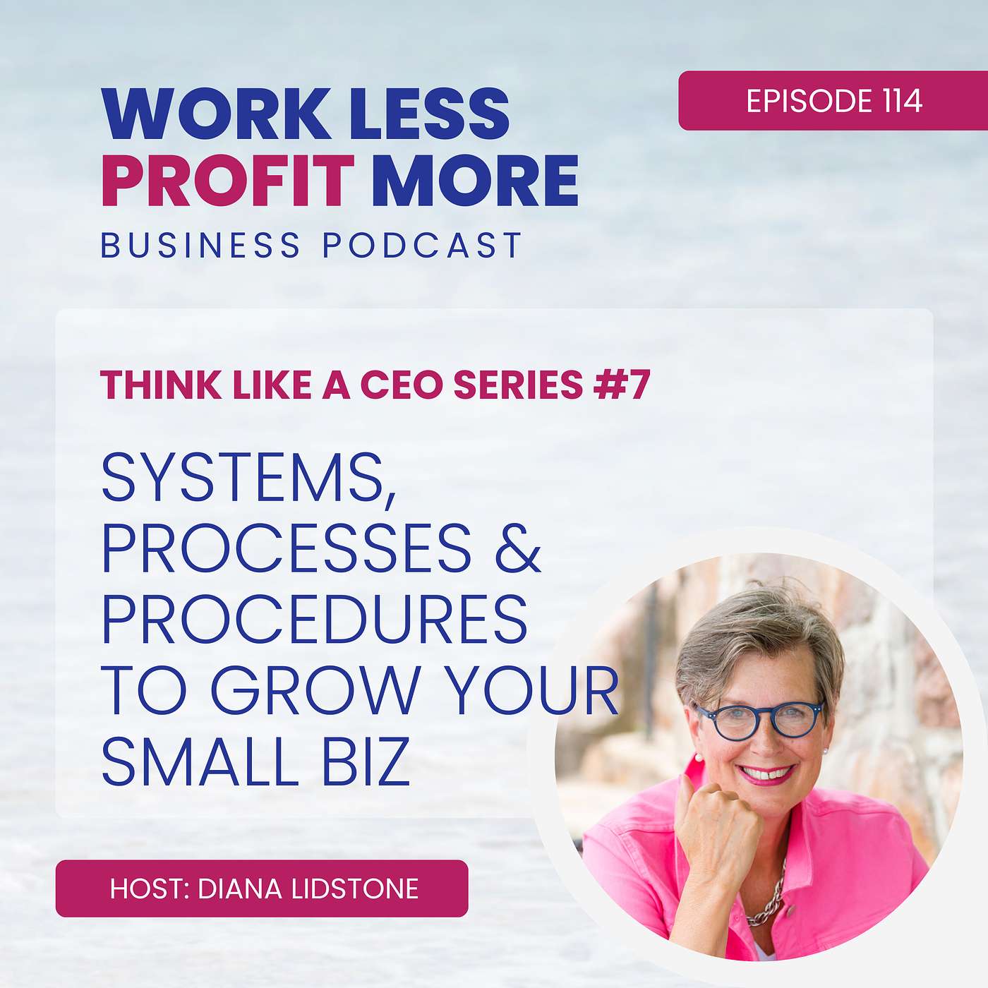 Work Less PROFIT More Business Podcast