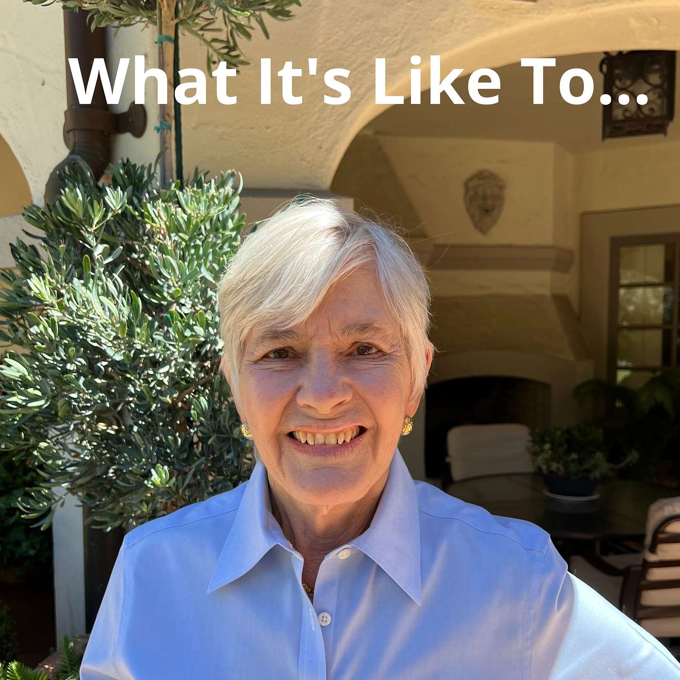 What It\'s Like To...