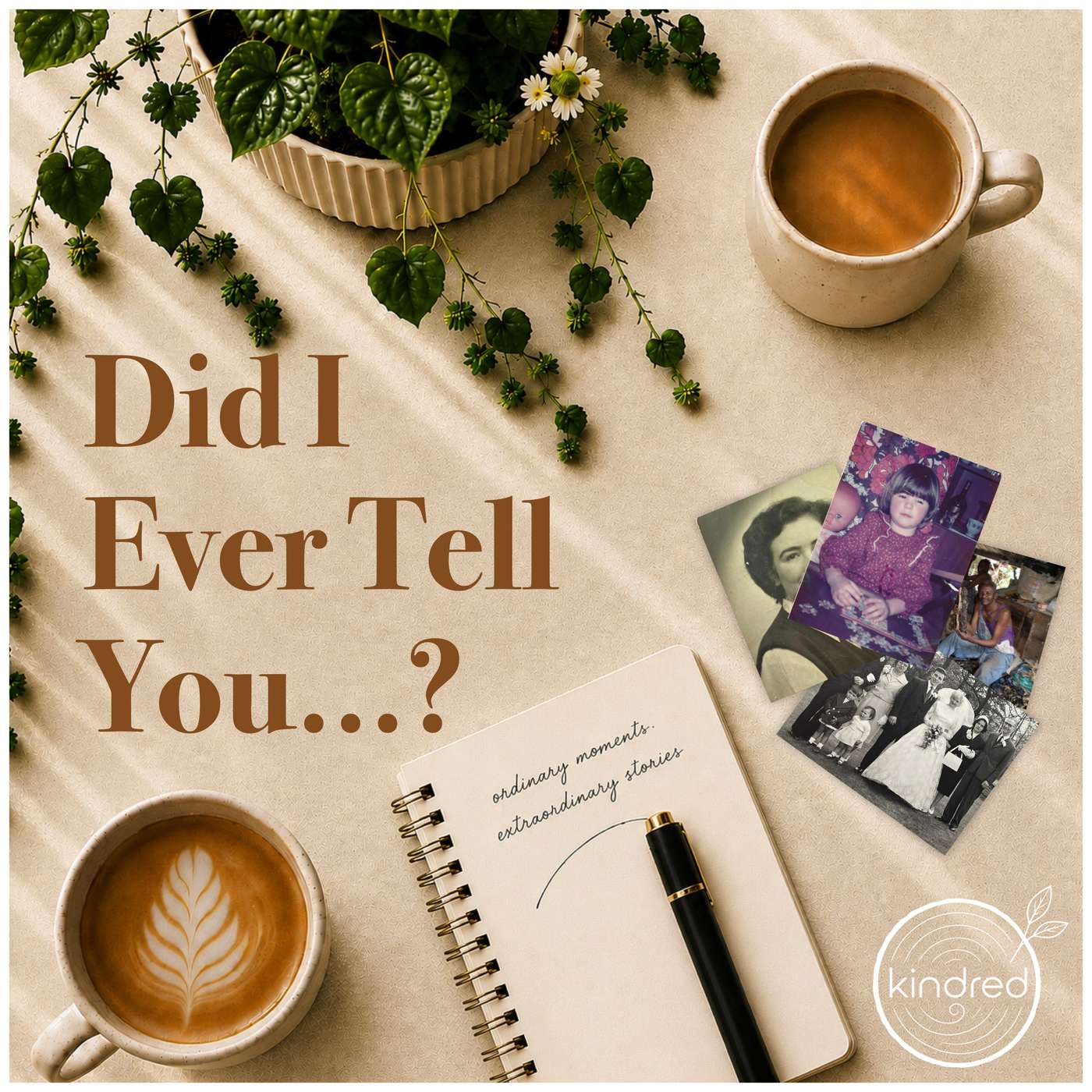 Welcome to our podcast: Did I Ever Tell You...? episode artwork