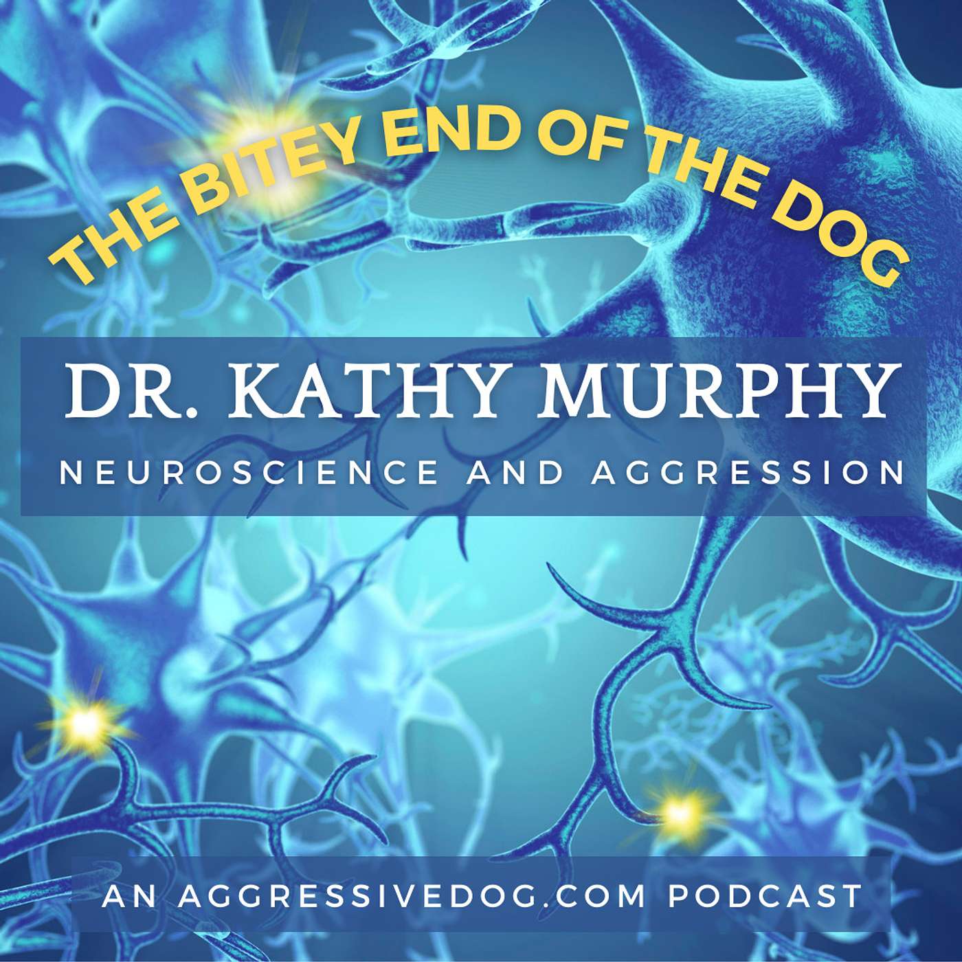 Dr. Kathy Murphy