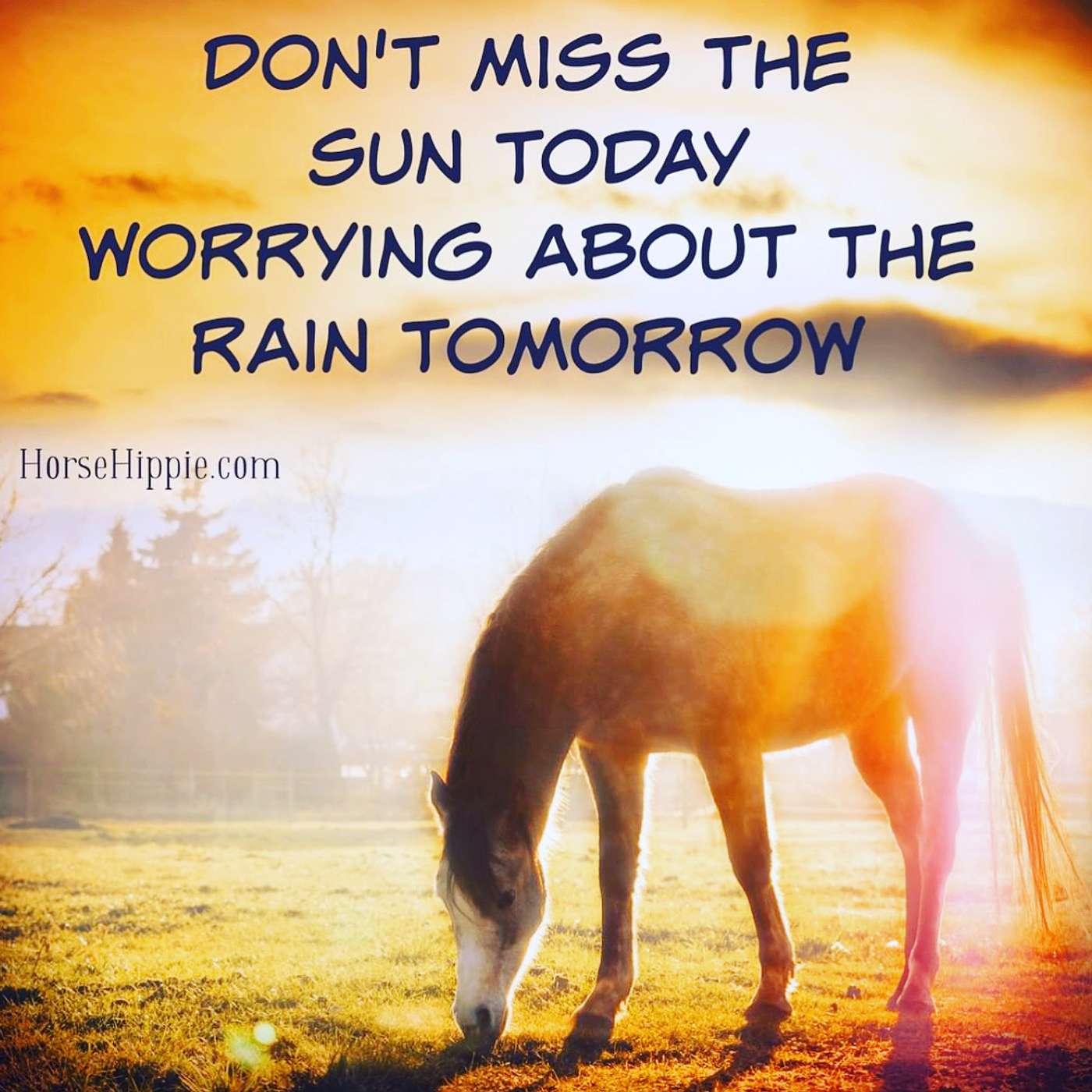 Don’t Worry About The Rain episode artwork