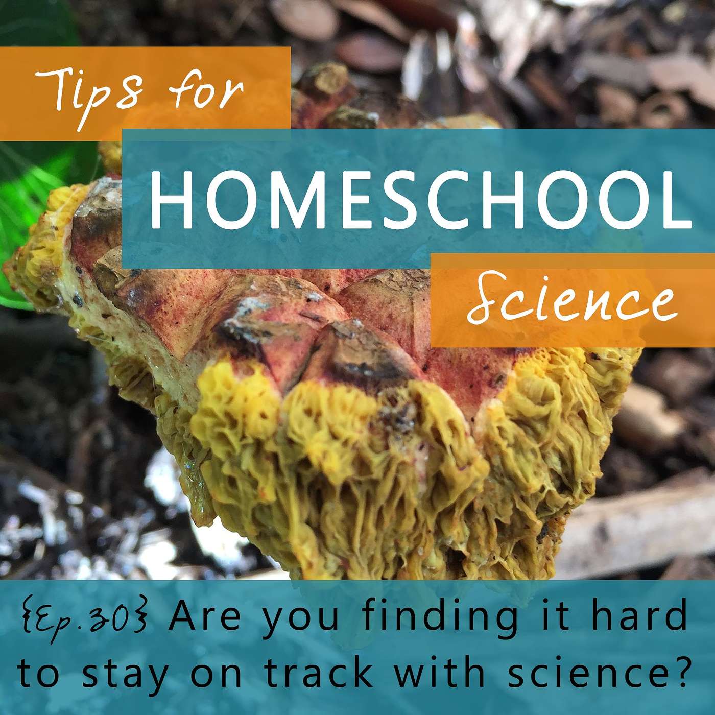 Tips for Homeschool Science Podcast from Elemental Science