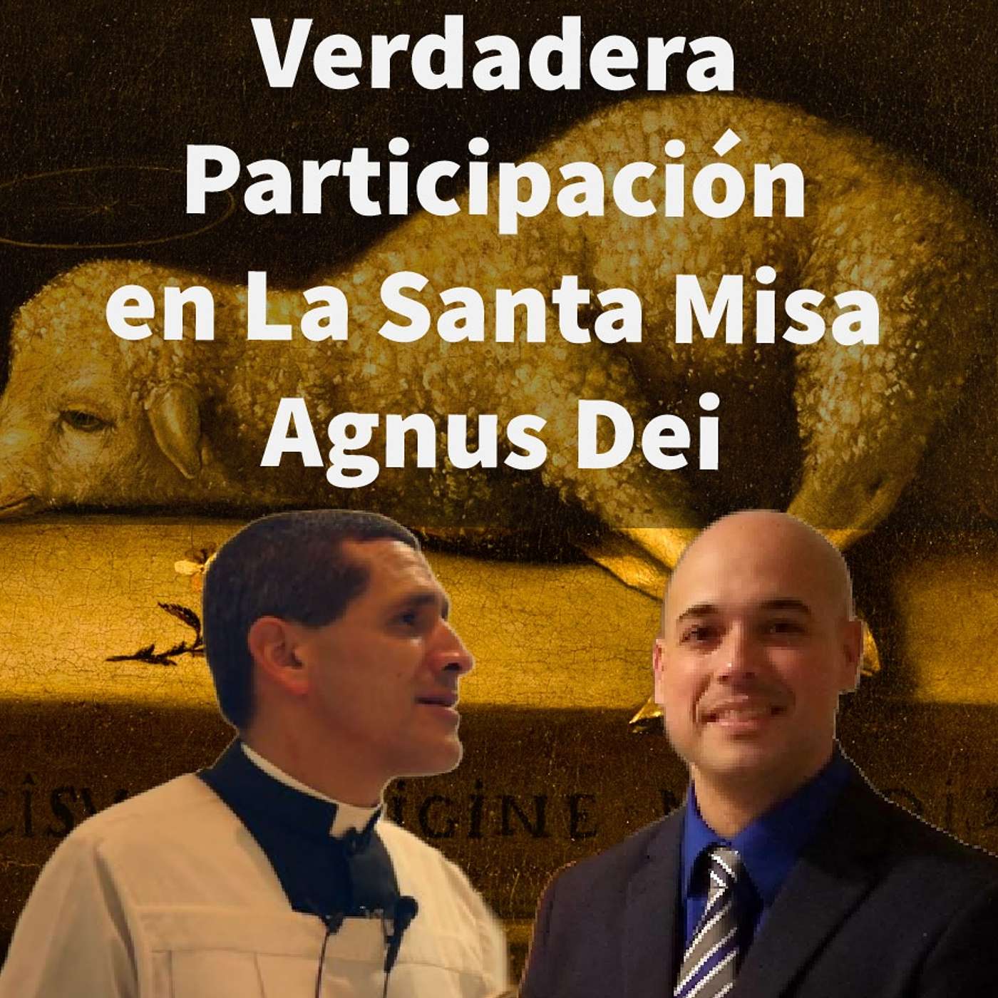 Episodio 396: 🙏 La Verdadera participación en la Santa Misa 🤷‍♀️ Agnus Dei 🐑 con el Padre Michael Rodriguez 👏 episode artwork