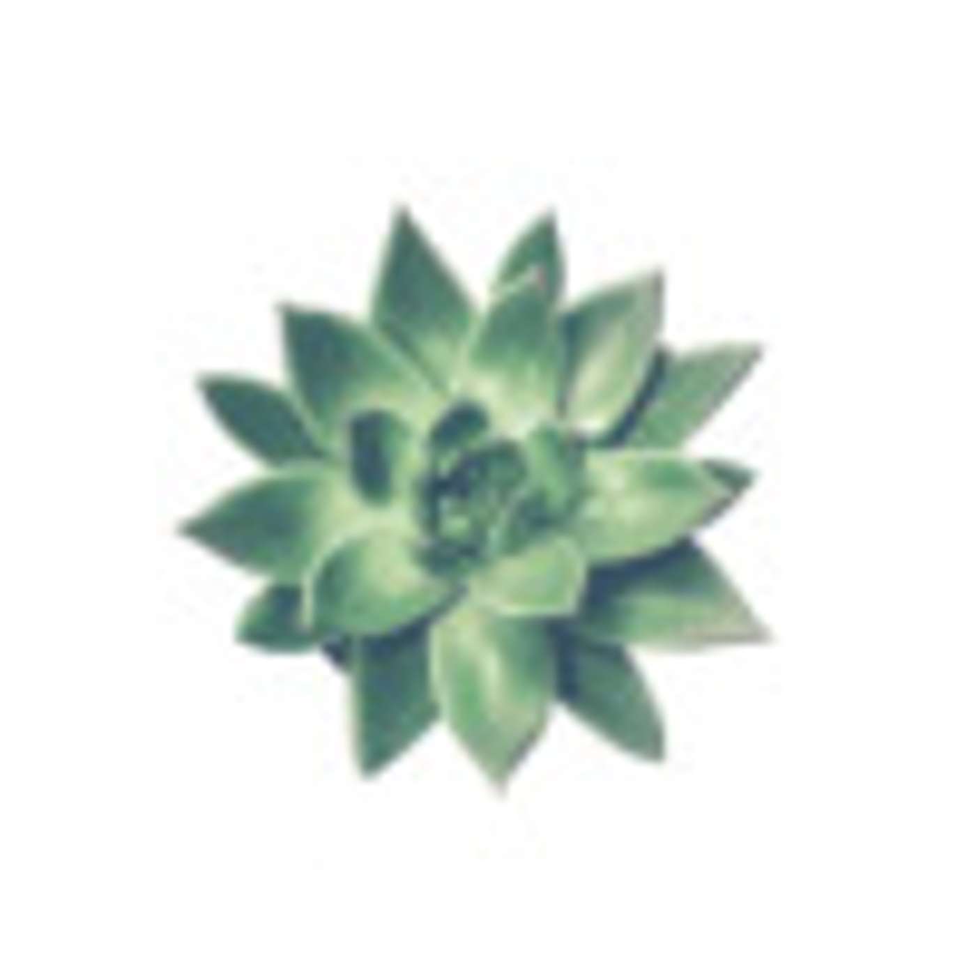 Contoured Botox & Weight Loss Med Spa podcast artwork