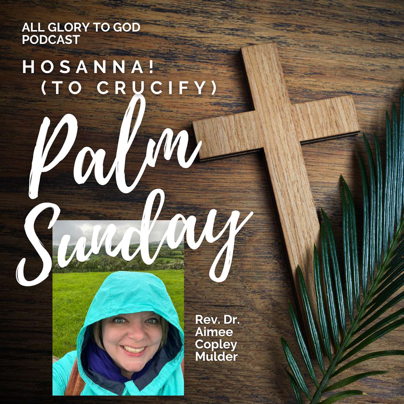 Holy Week: Palm Sunday episode artwork