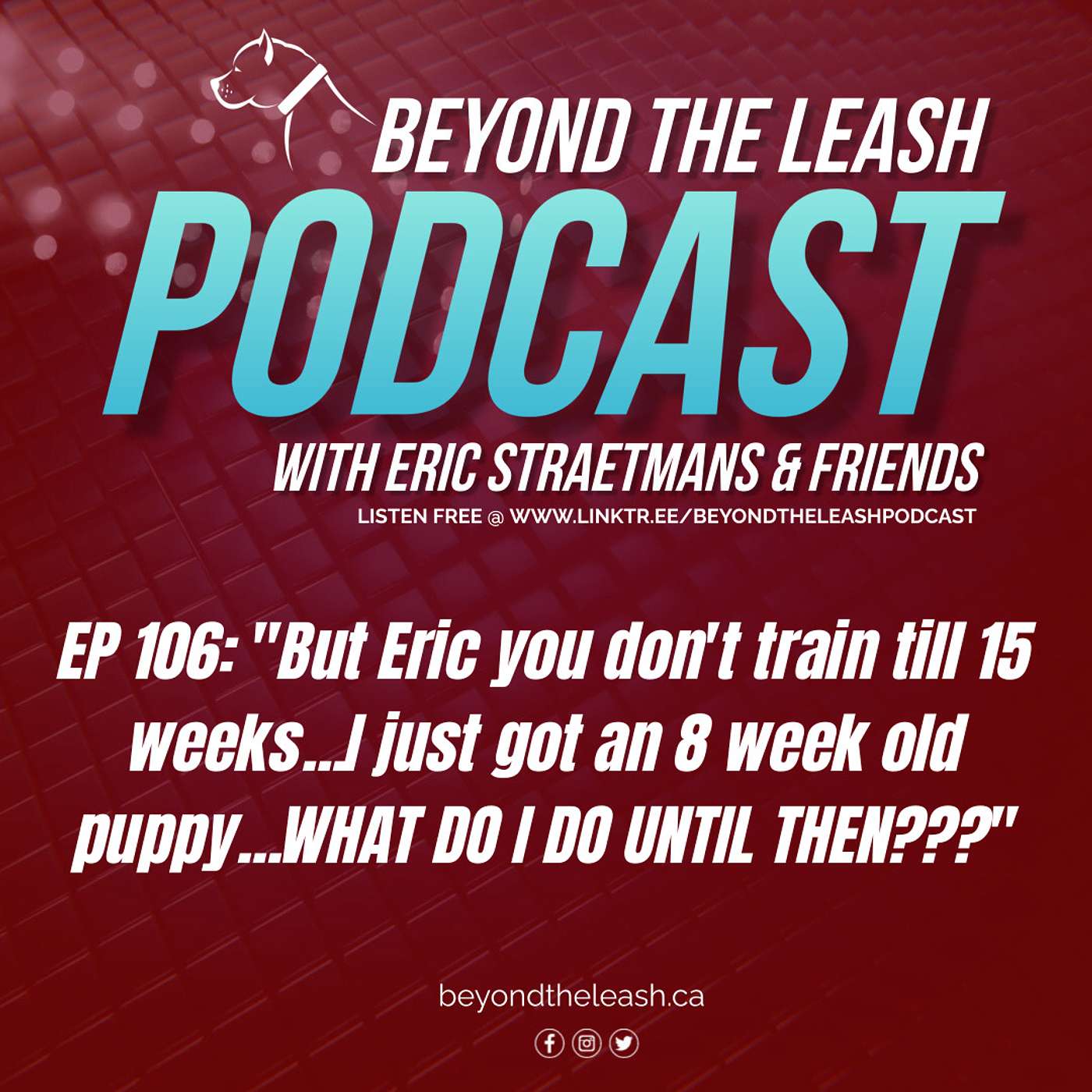 Beyond The Leash