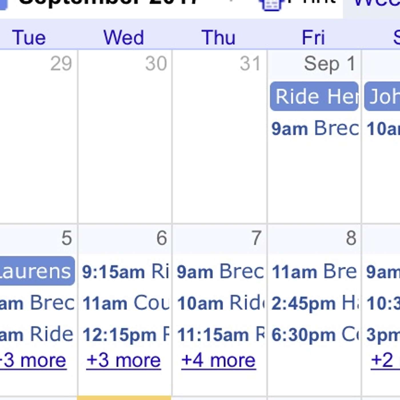 Episode 45: New Year, New Goals—Five Essential Resolutions for Equestrians