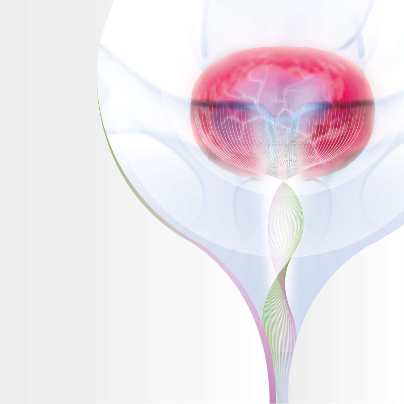 Tout savoir sur les pathologies liées aux douleurs pelviennes