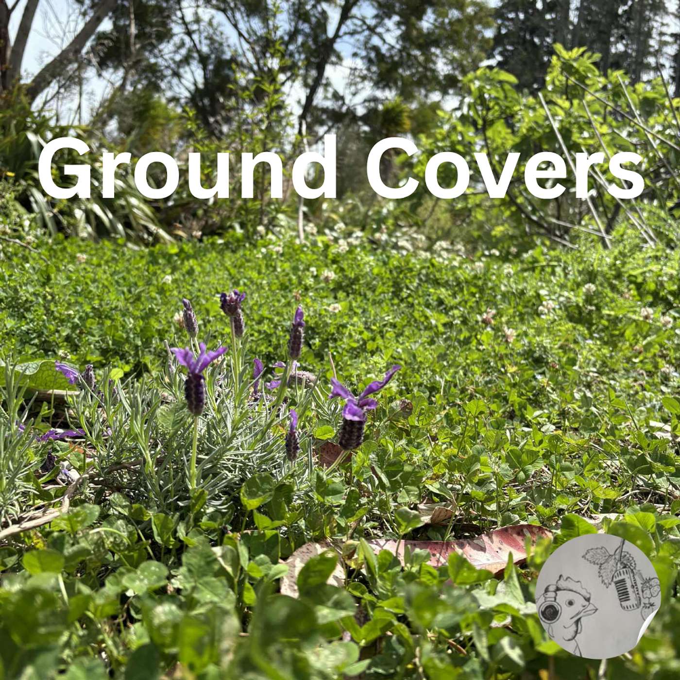 Mulch and Ground Covers| Mastering the Garden