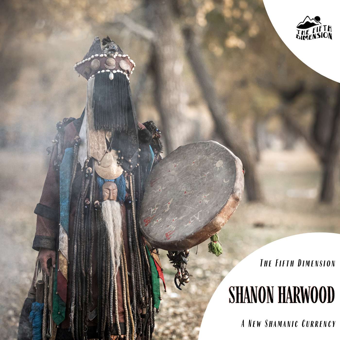 Shanon Harwood - A New Shamanic Currency