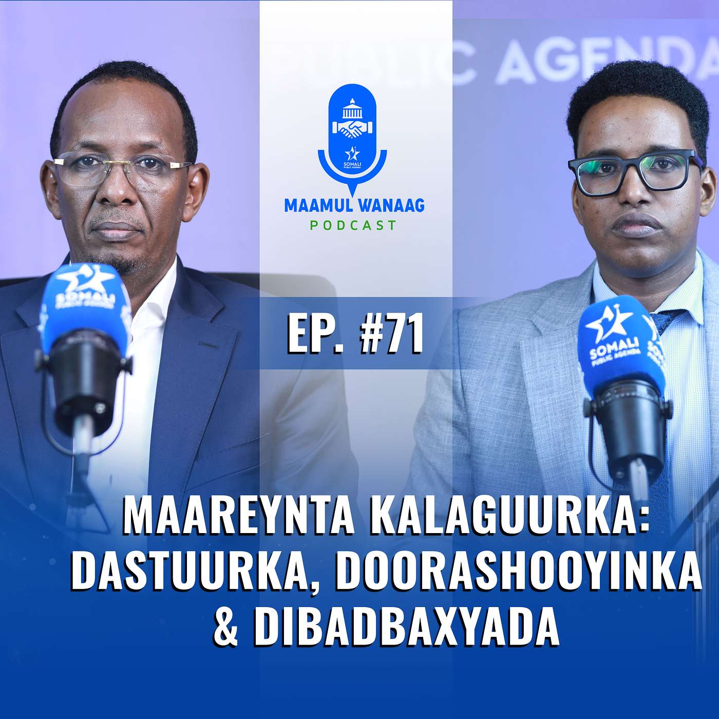 Maareynta Kalaguurka: Dastuurka, Doorashooyinka & Dibadbaxyada episode artwork