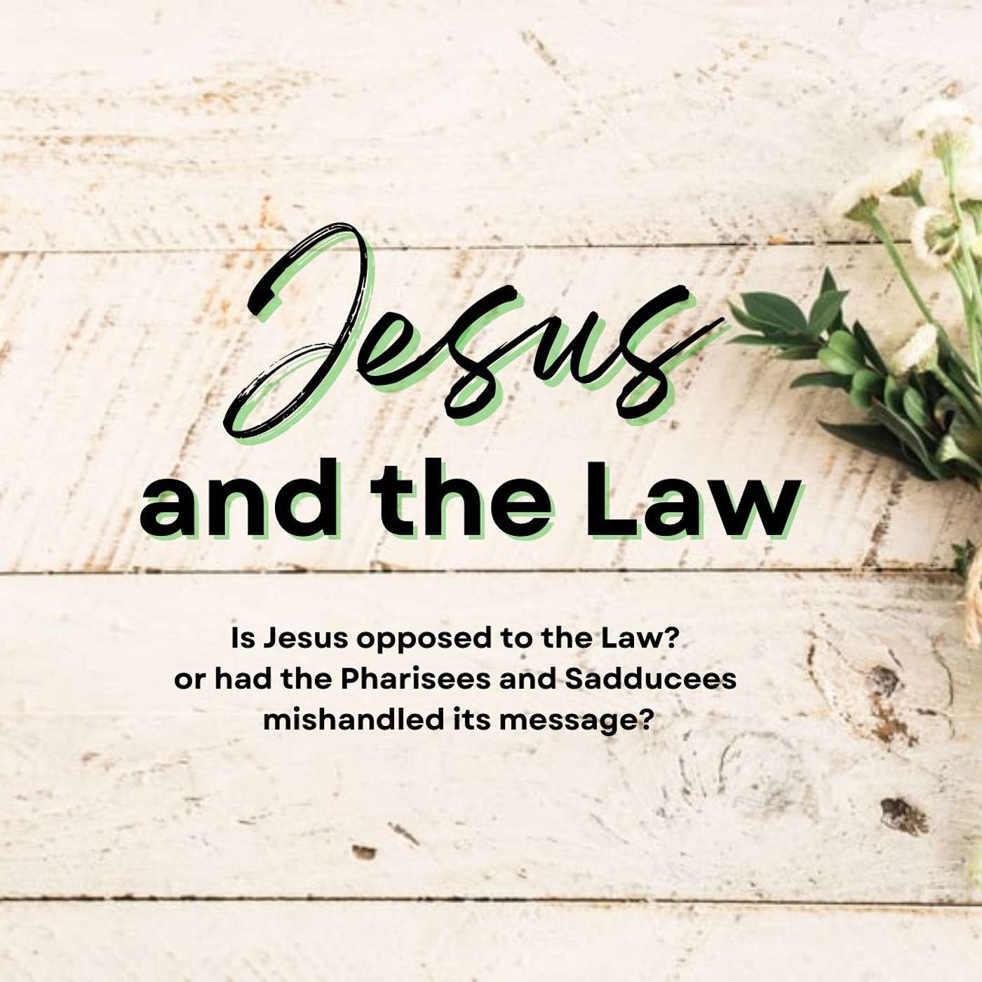 Is Jesus opposed to the Law?