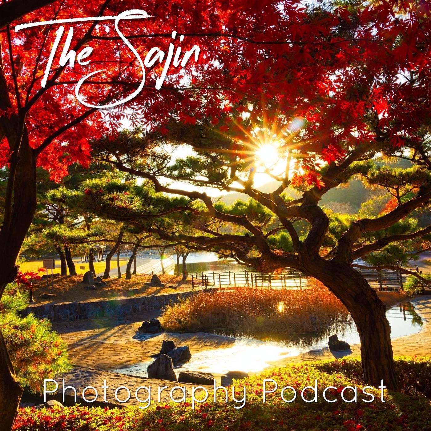 Season 4 Episode 8: The Forgotten Fall Episode