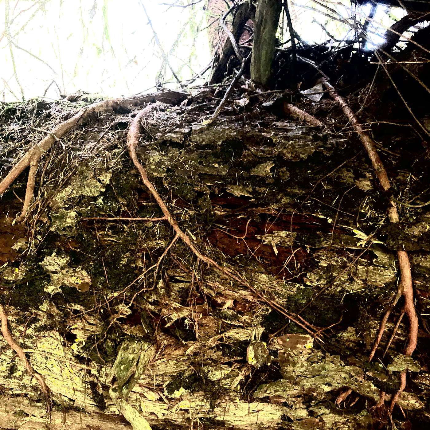 Grief House - Portals