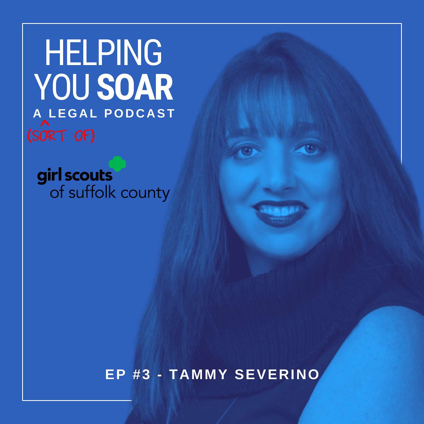A Million Cookie Boxes Annually: Lessons Business Owners Can Learn from Non-Profits with Girl Scouts of Suffolk County CEO Tammy Severino