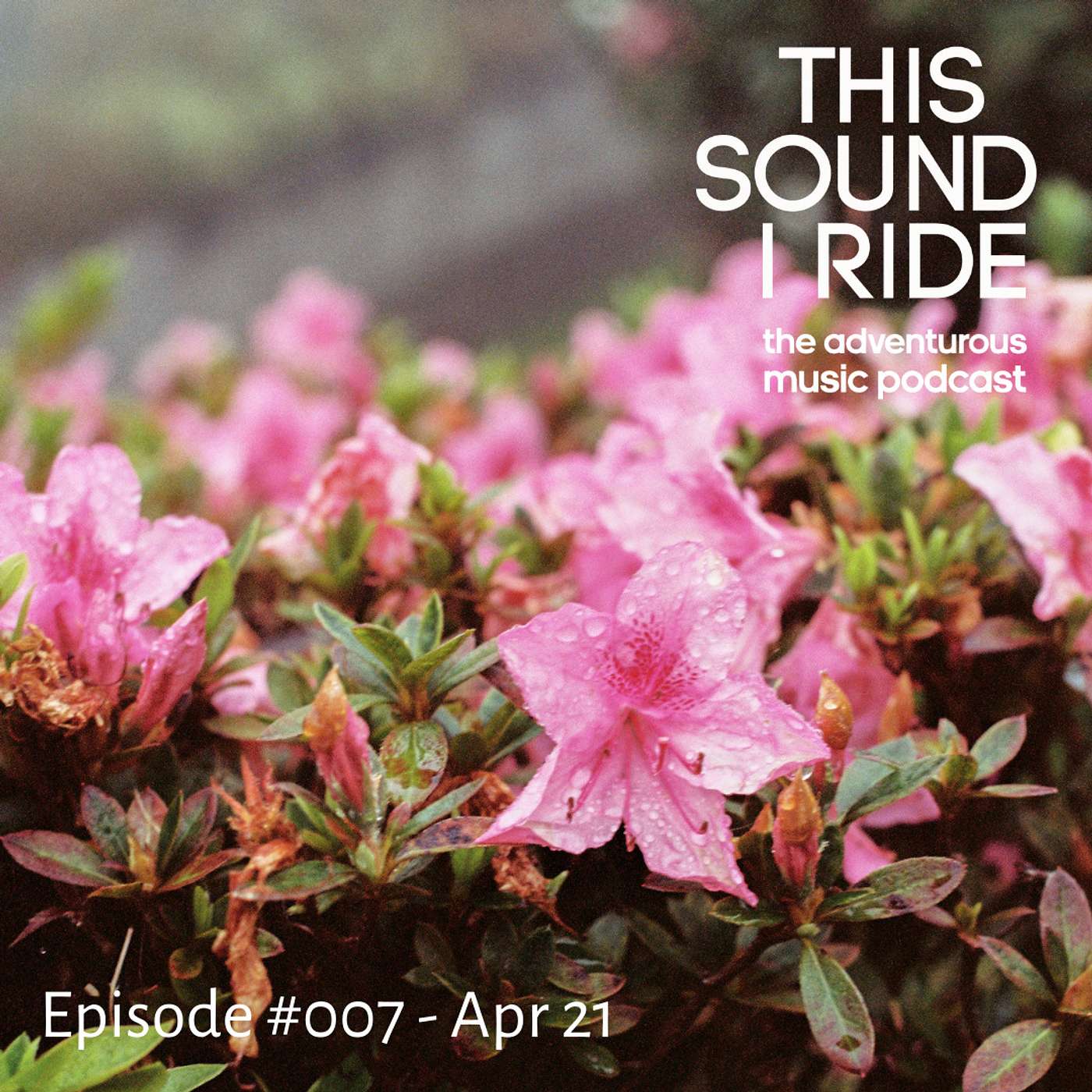 This sound I ride