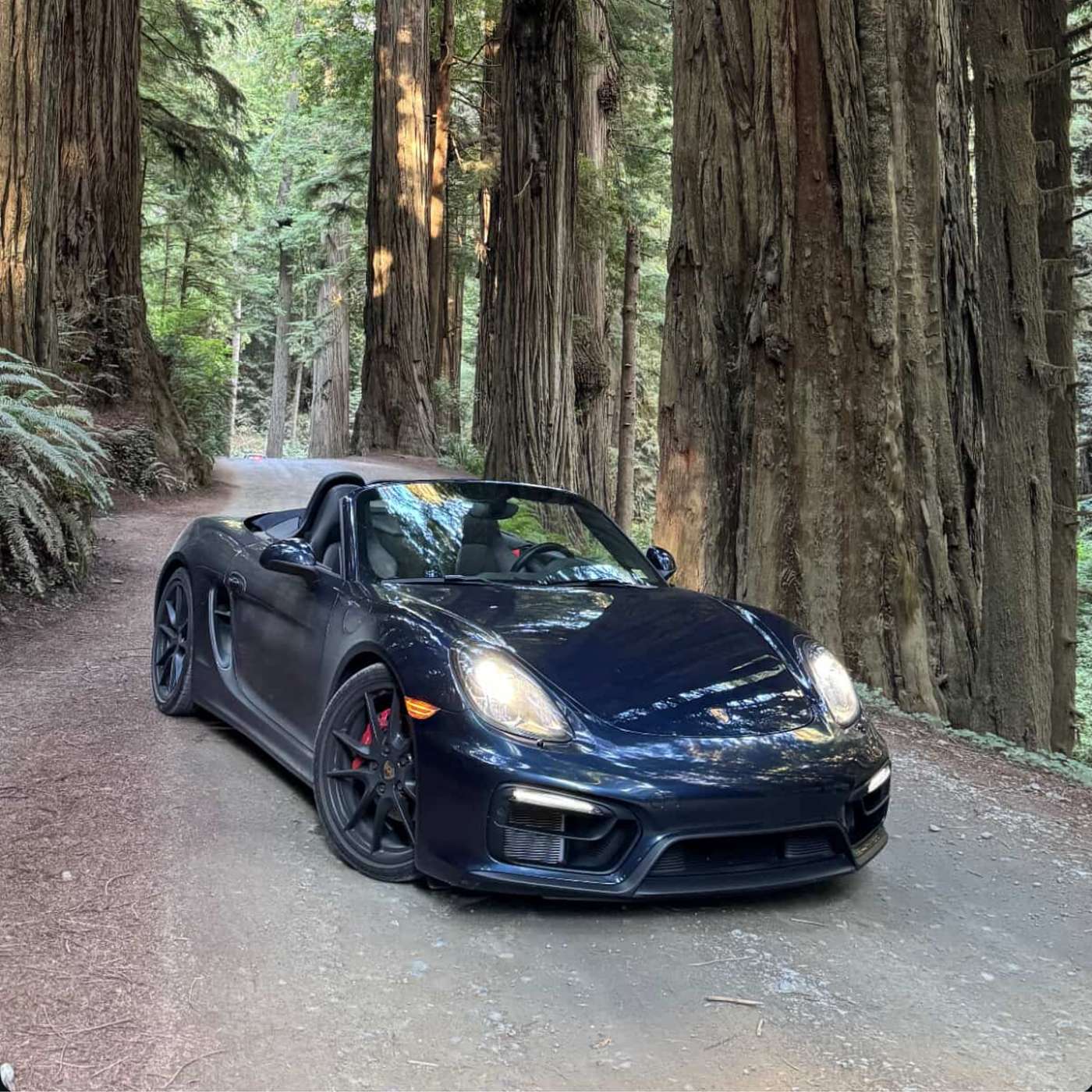 Nate Ong's Story | The Used Car Files