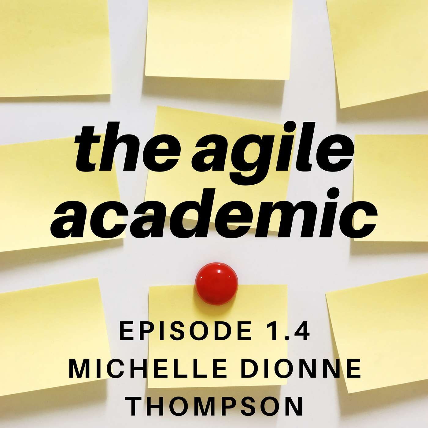 the agile academic