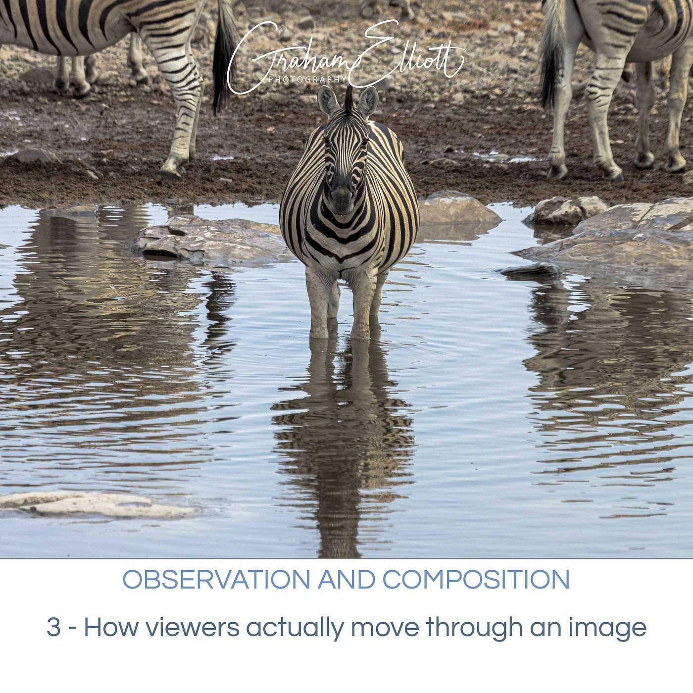 Observation and Composition Ep 3: How viewers actually move through an image