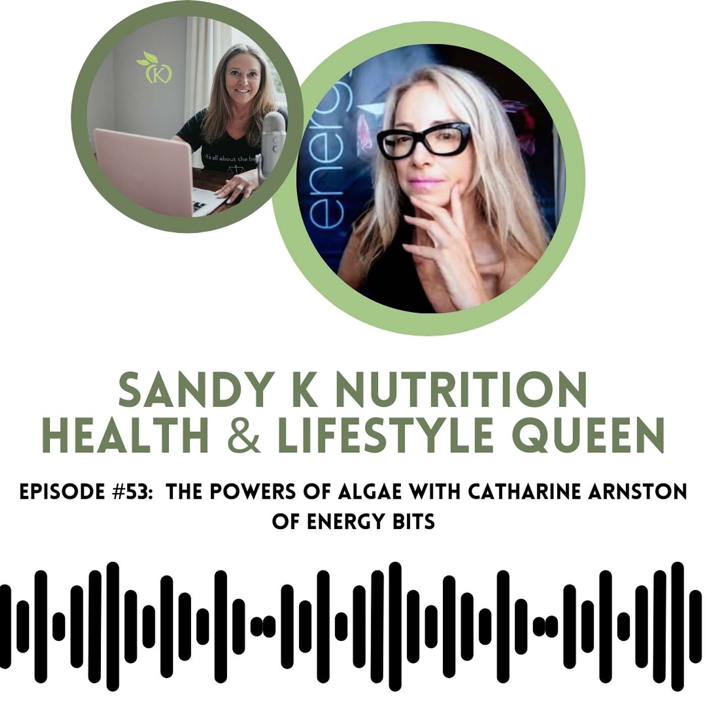Episode 53 The Powers of Algae with Catharine Arnston of Energy Bits