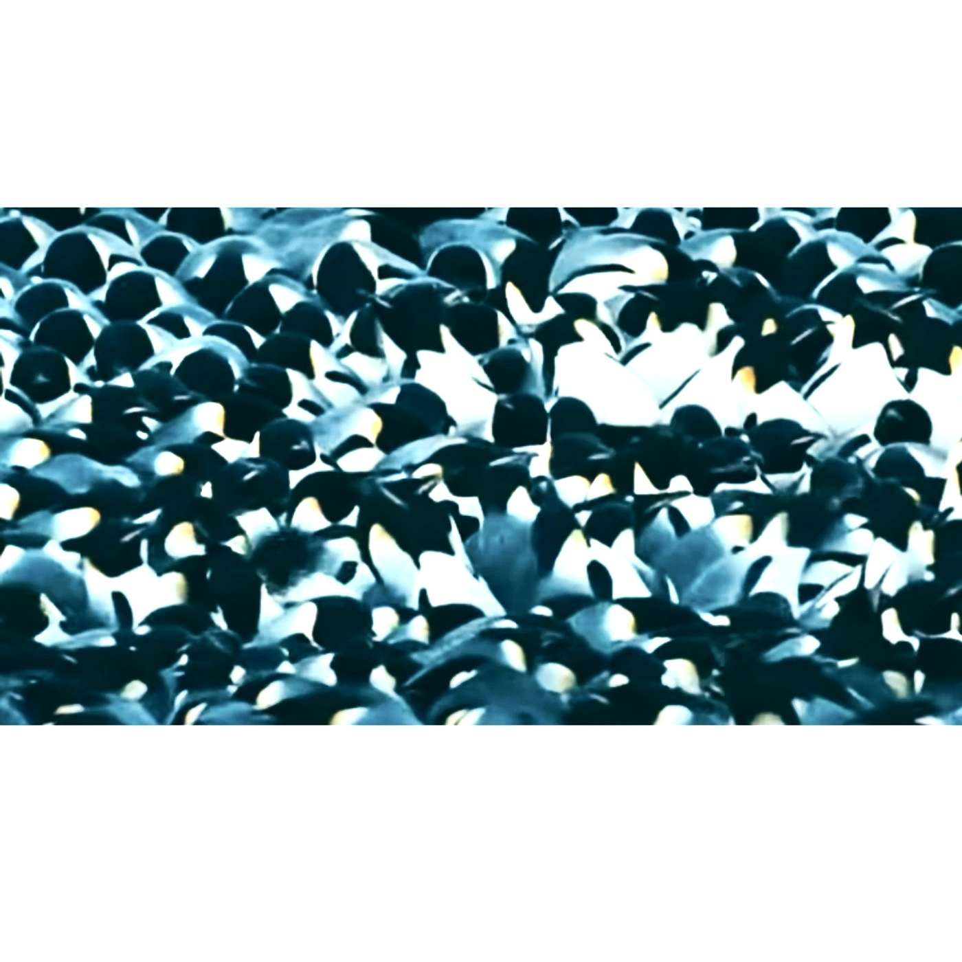 #122: A Coisa Mais Importante #122: A Coisa Mais Importante