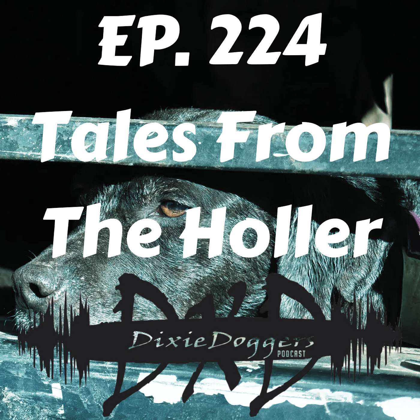 EP. 224 Tales From The Holler Ethan Young episode artwork