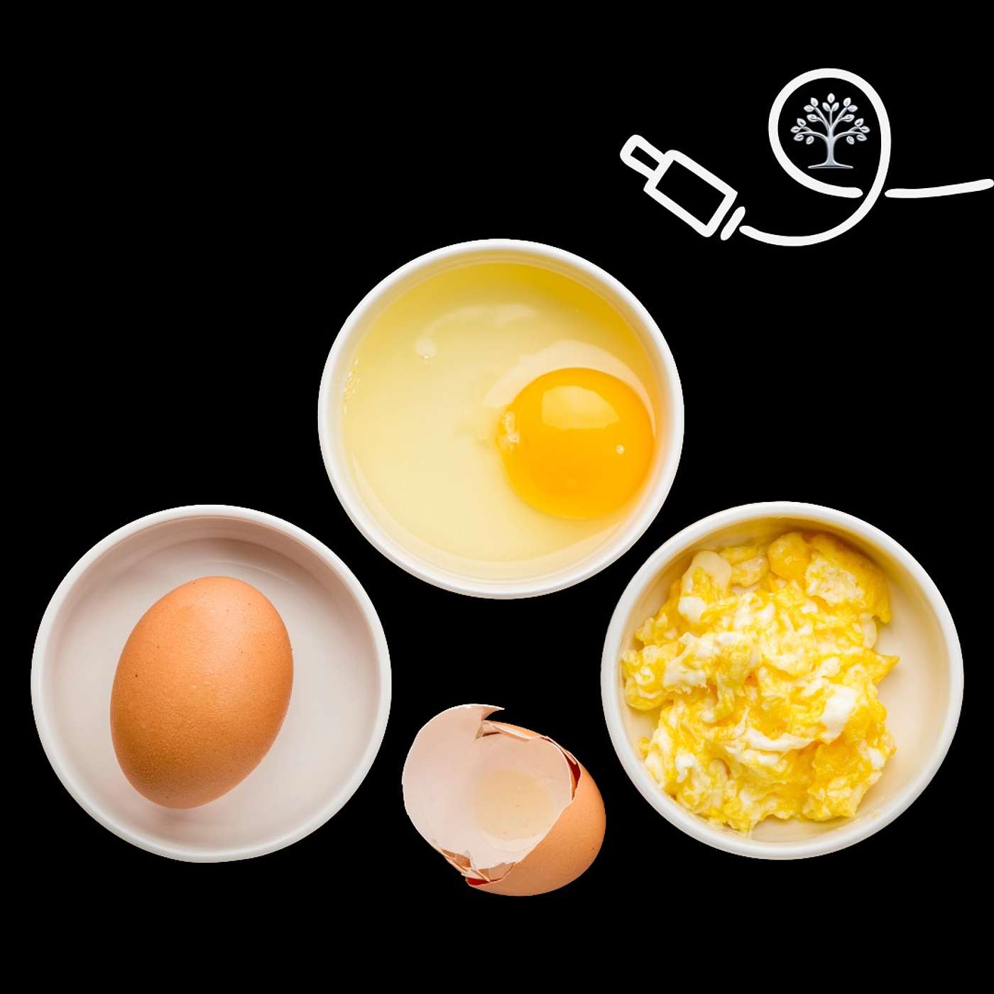 How Many Carbs in Eggs?