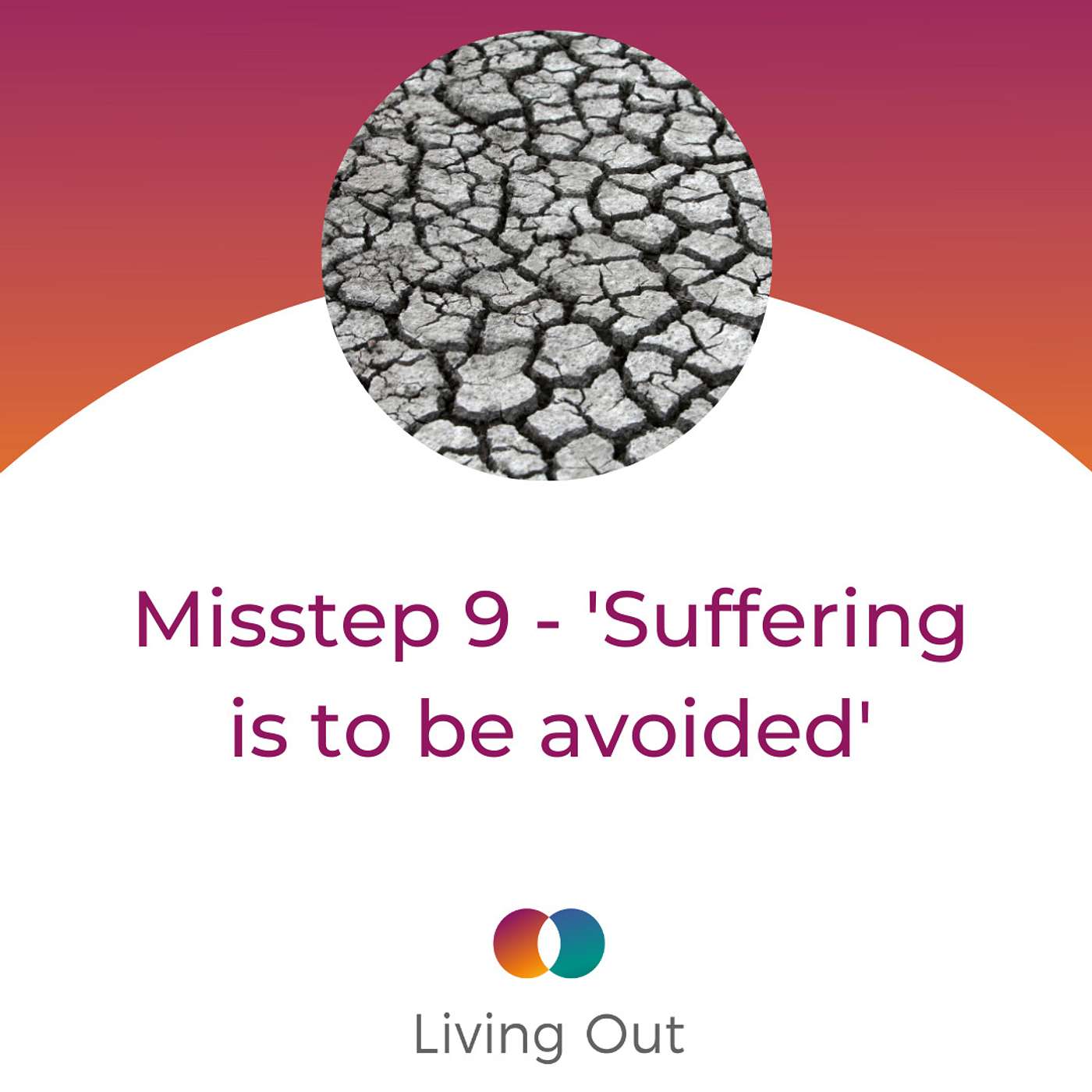 Misstep 9 - 'Suffering is to be avoided' (The Plausibility Problem #9) episode artwork
