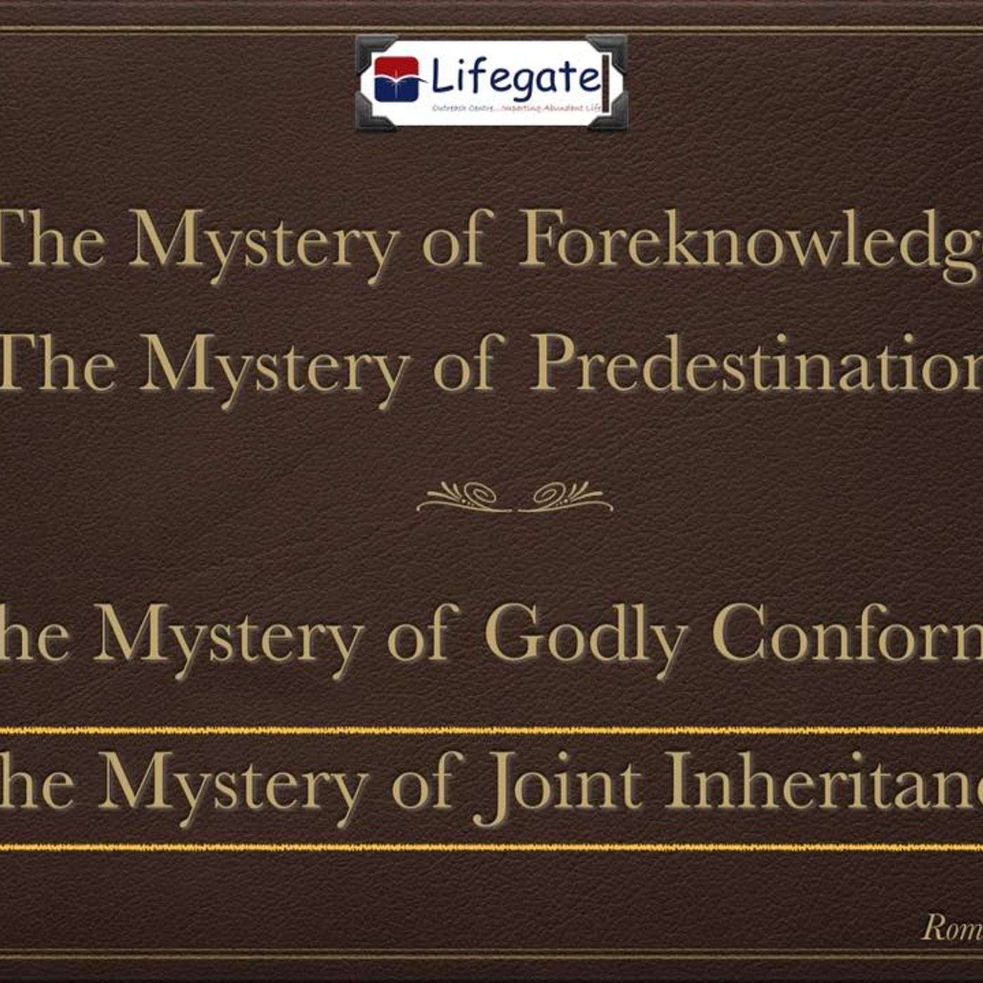 The Mystery of Joint Inheritance episode artwork