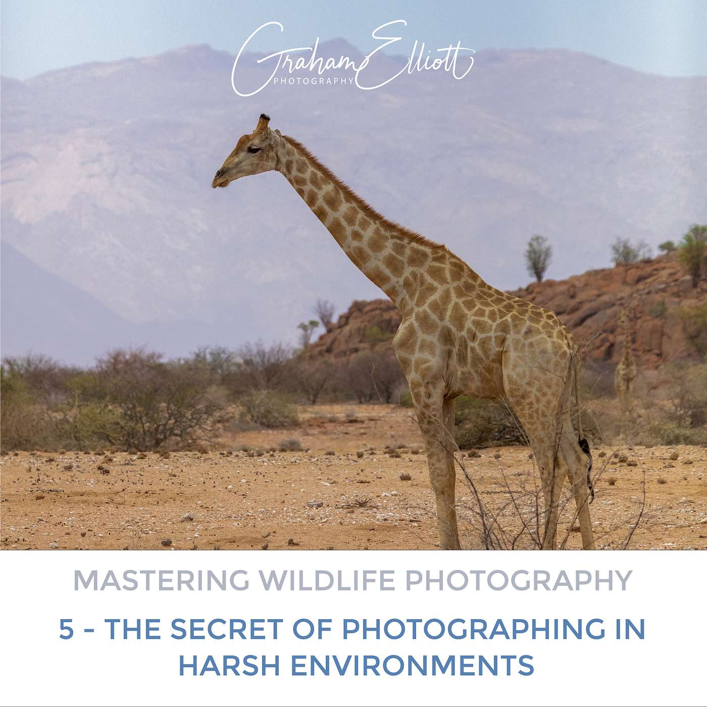 Mastering Wildlife Photography Part 5: The Secret of Photographing in Harsh Environments Mastering Wildlife Photography Part 5: The Secret of Photographing in Harsh Environments