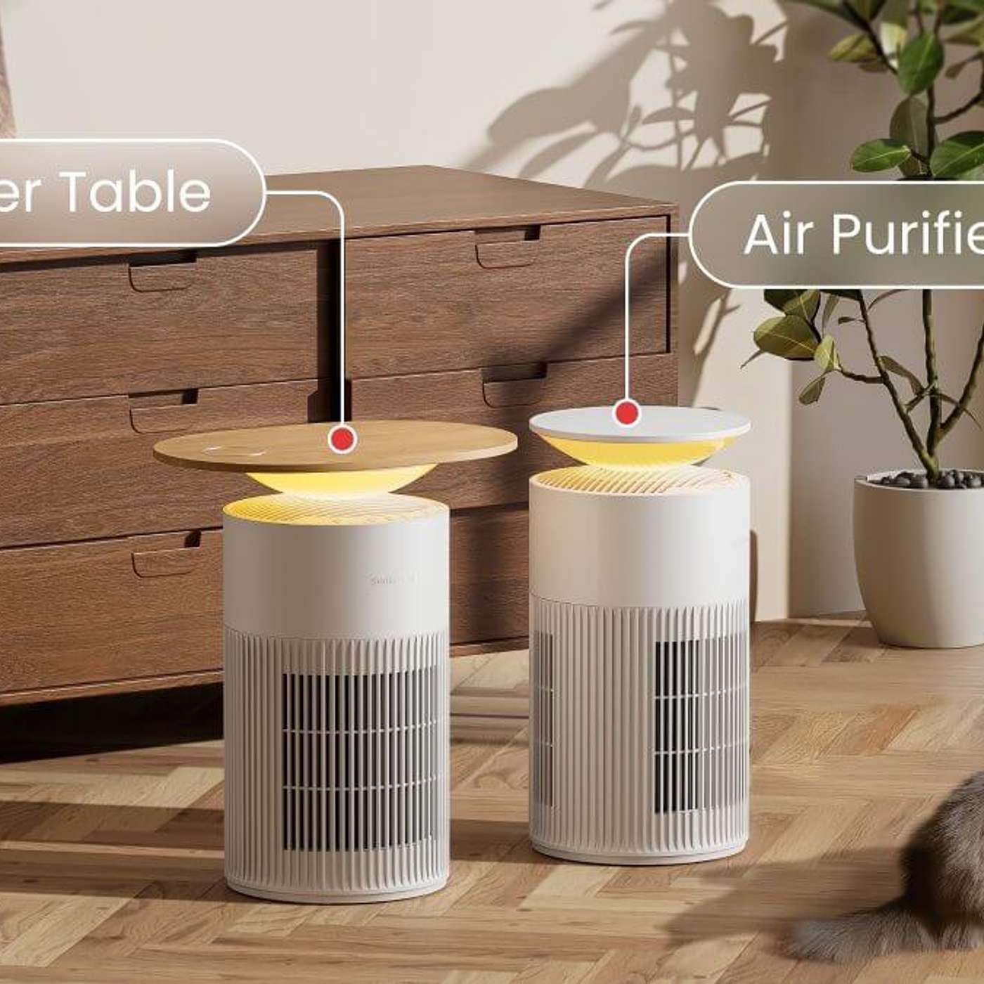 How to create a safe and clean environment for your pets and family.