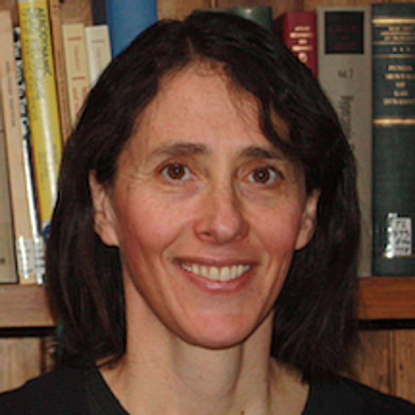 83 | How science is secretly driven by analogy – Melanie Mitchell 83 | How science is secretly driven by analogy – Melanie Mitchell