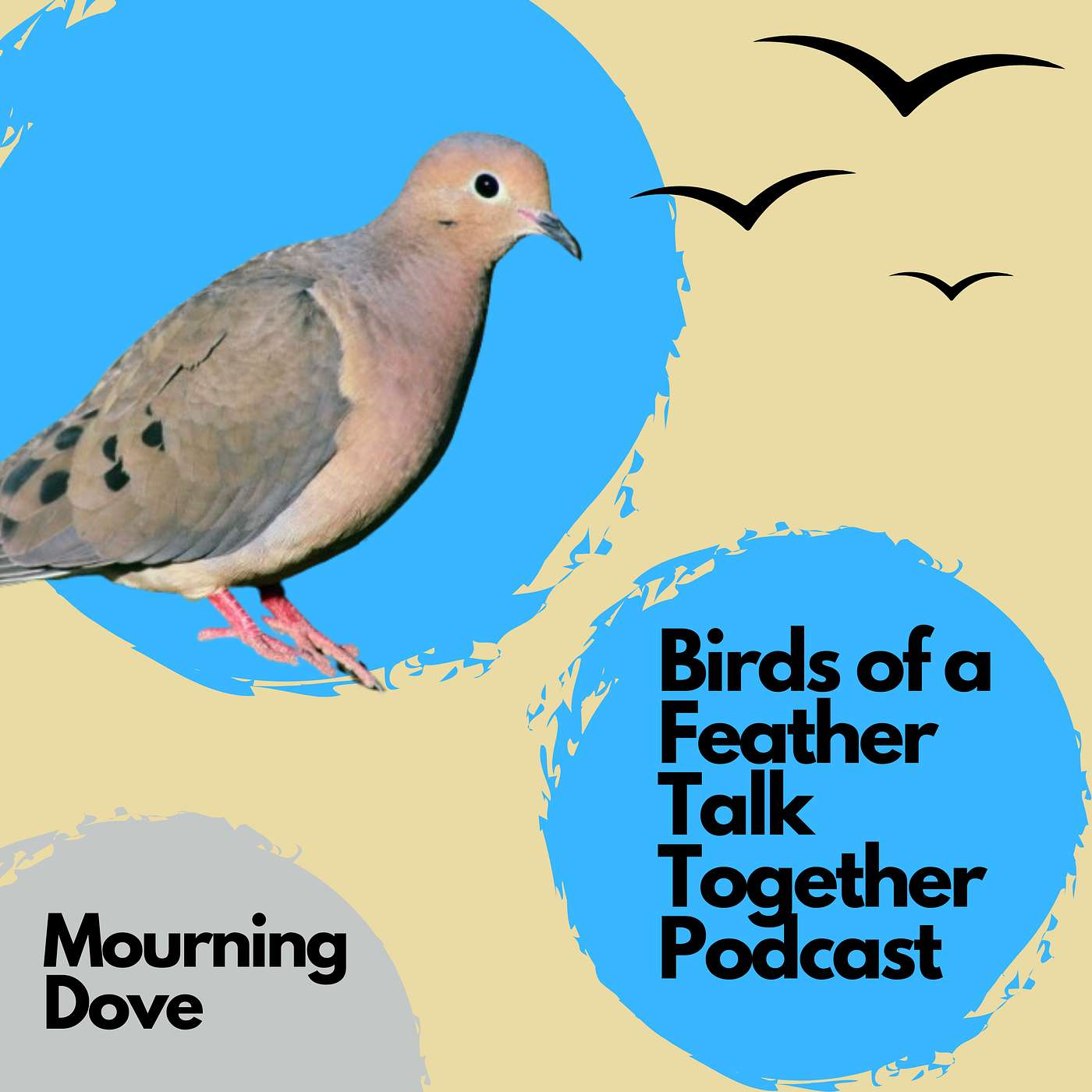 120: Mourning Dove Revisited