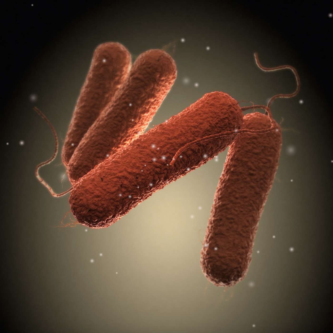 Encounters — A medical student tests positive for tuberculosis