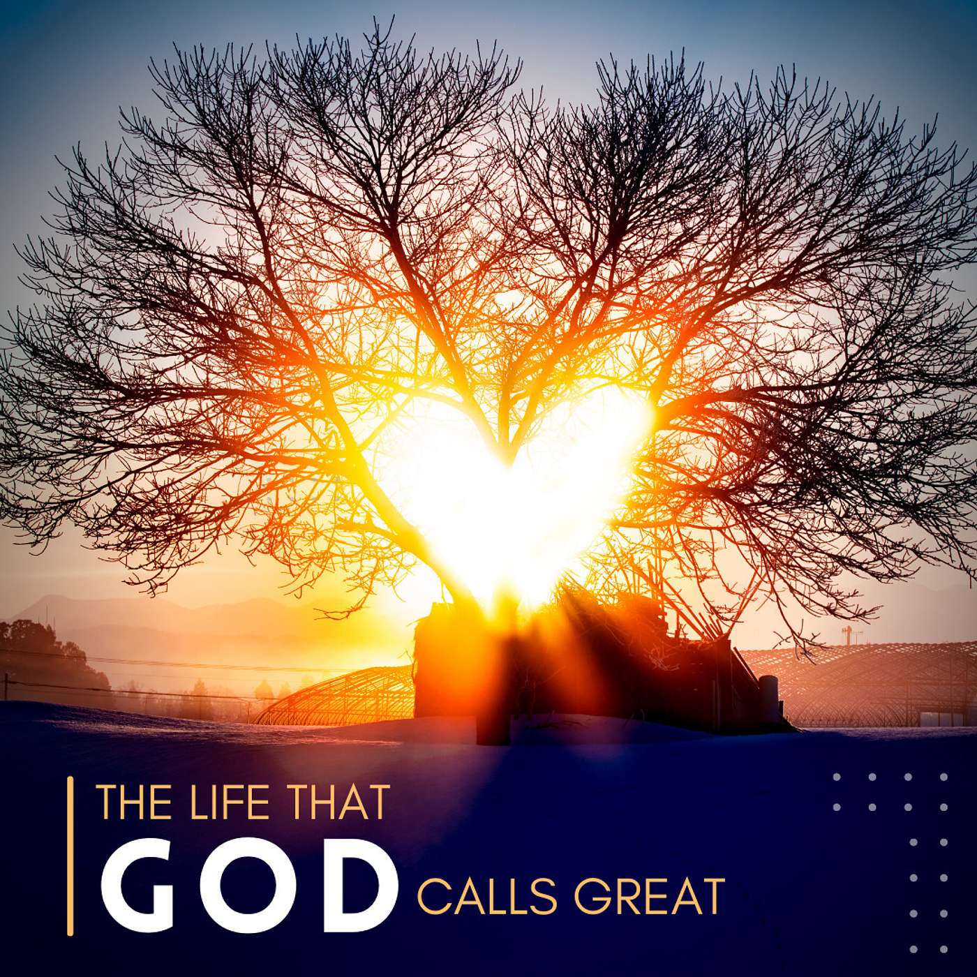 The Life That God Calls Great - Christine Lakatos