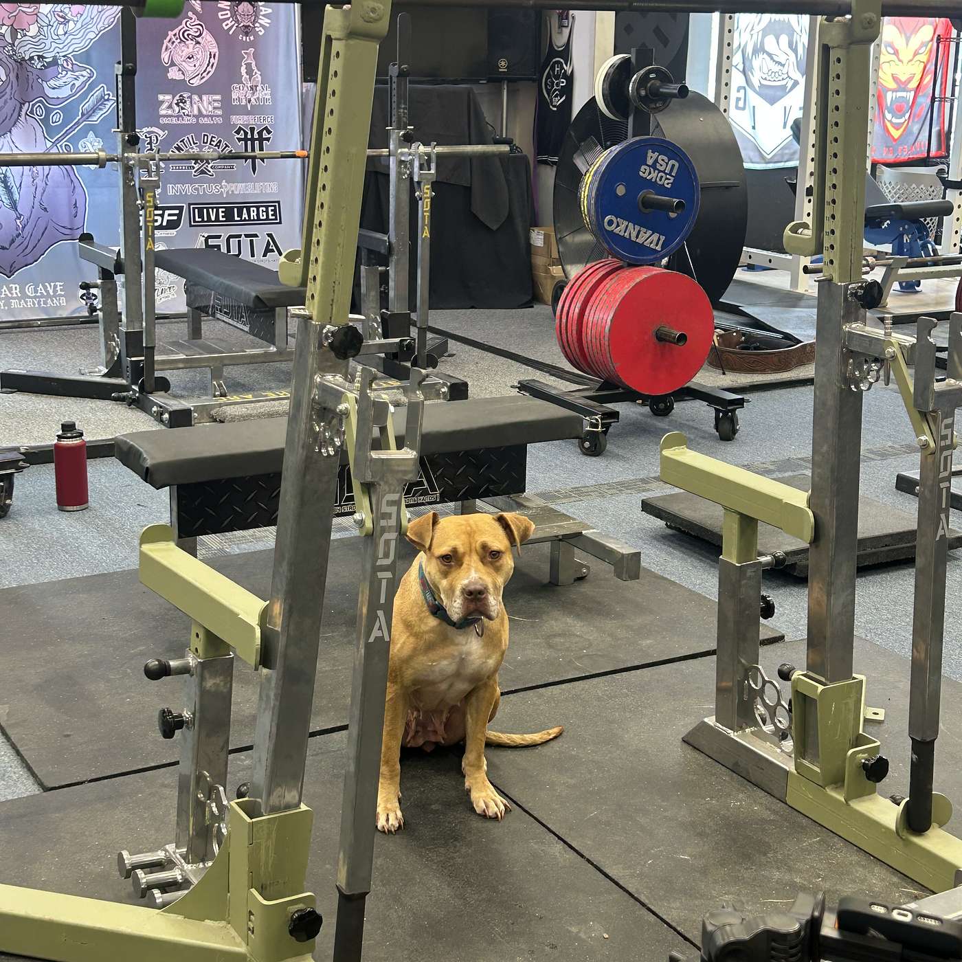 A Forest Through the Trees: A Cave Cast