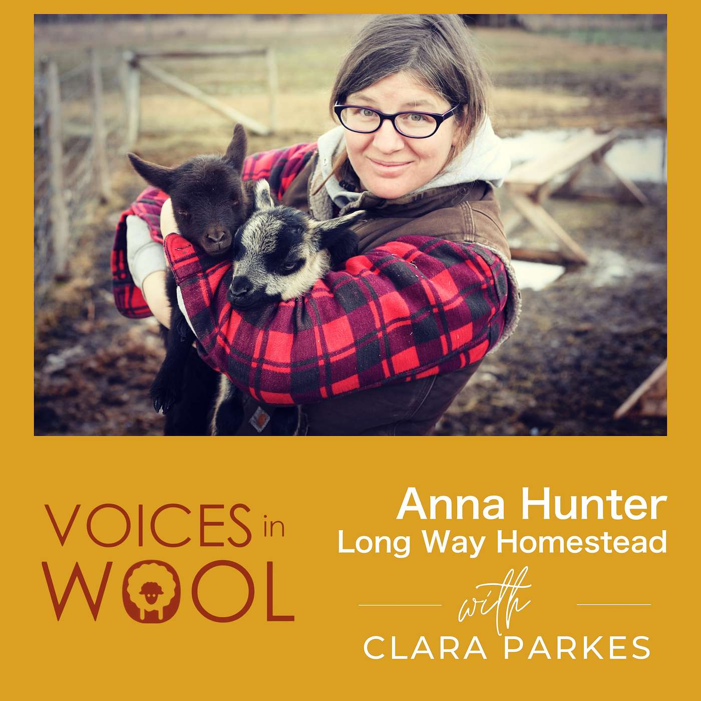 Shop to Sheep to Skein to School: Anna Hunter's Canadian Wool Odyssey Shop to Sheep to Skein to School: Anna Hunter's Canadian Wool Odyssey