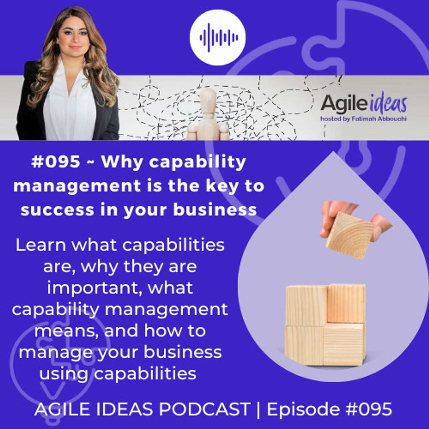 Agile Ideas