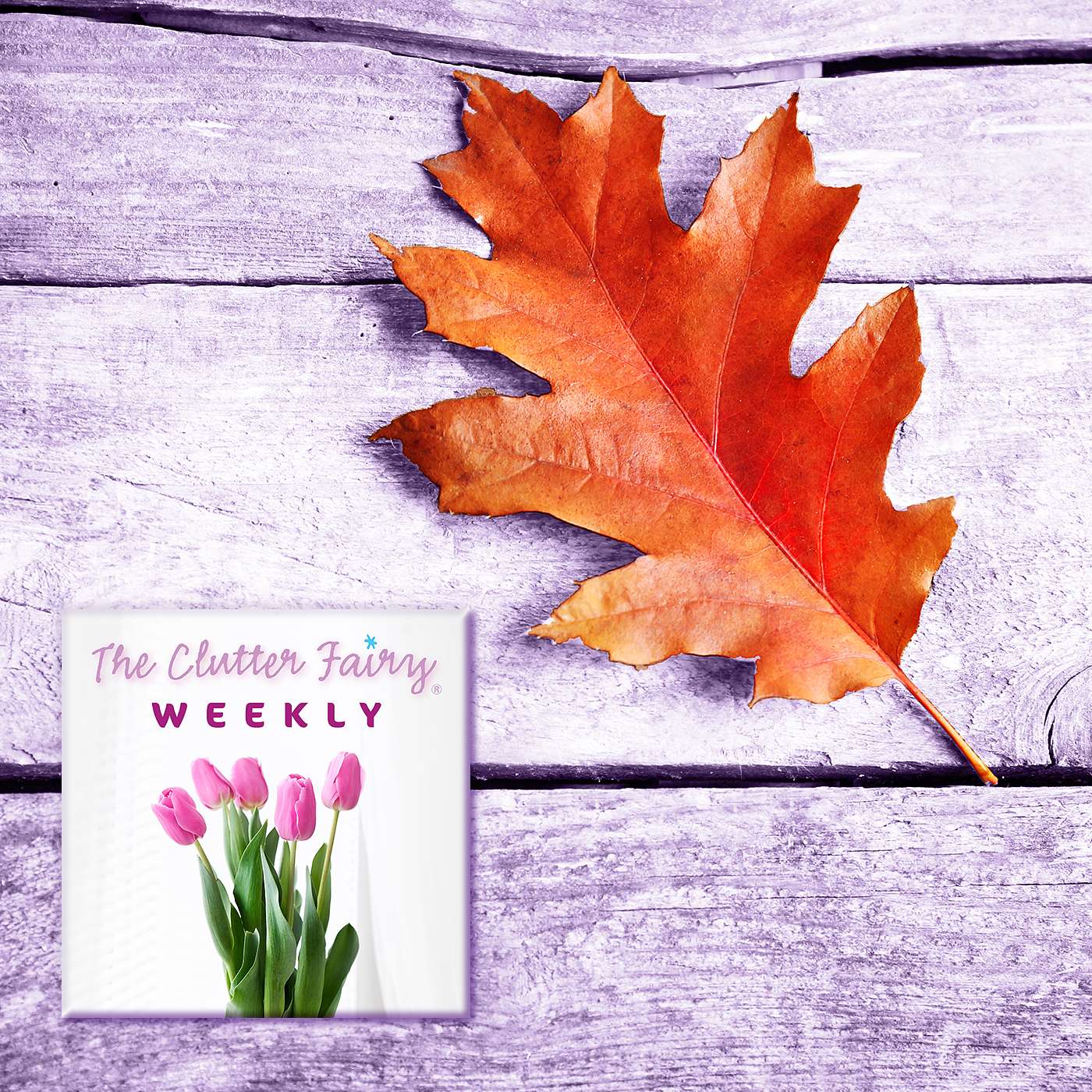 The Clutter Fairy Weekly #83 - Winds of Change: Organizing as a Tool for Self-reflection and Growth