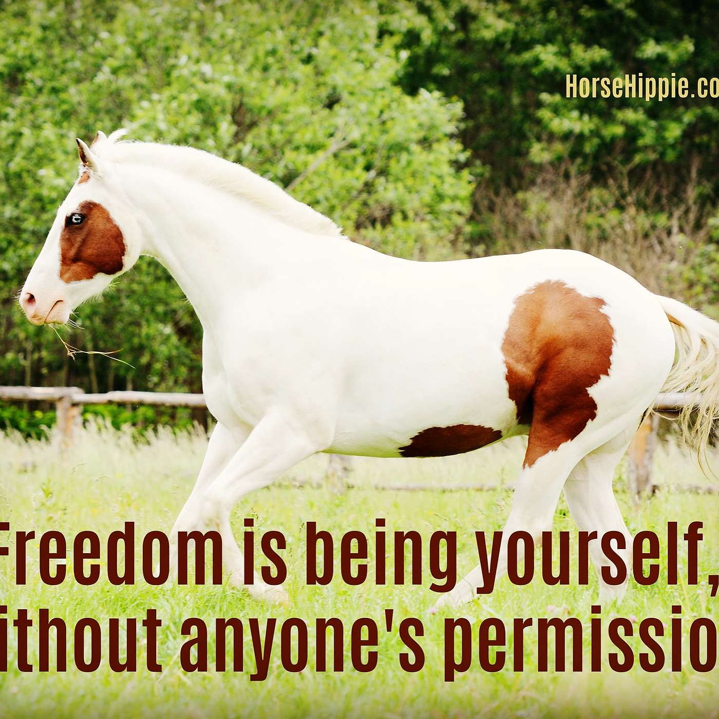 Freedom to Be Yourself episode artwork