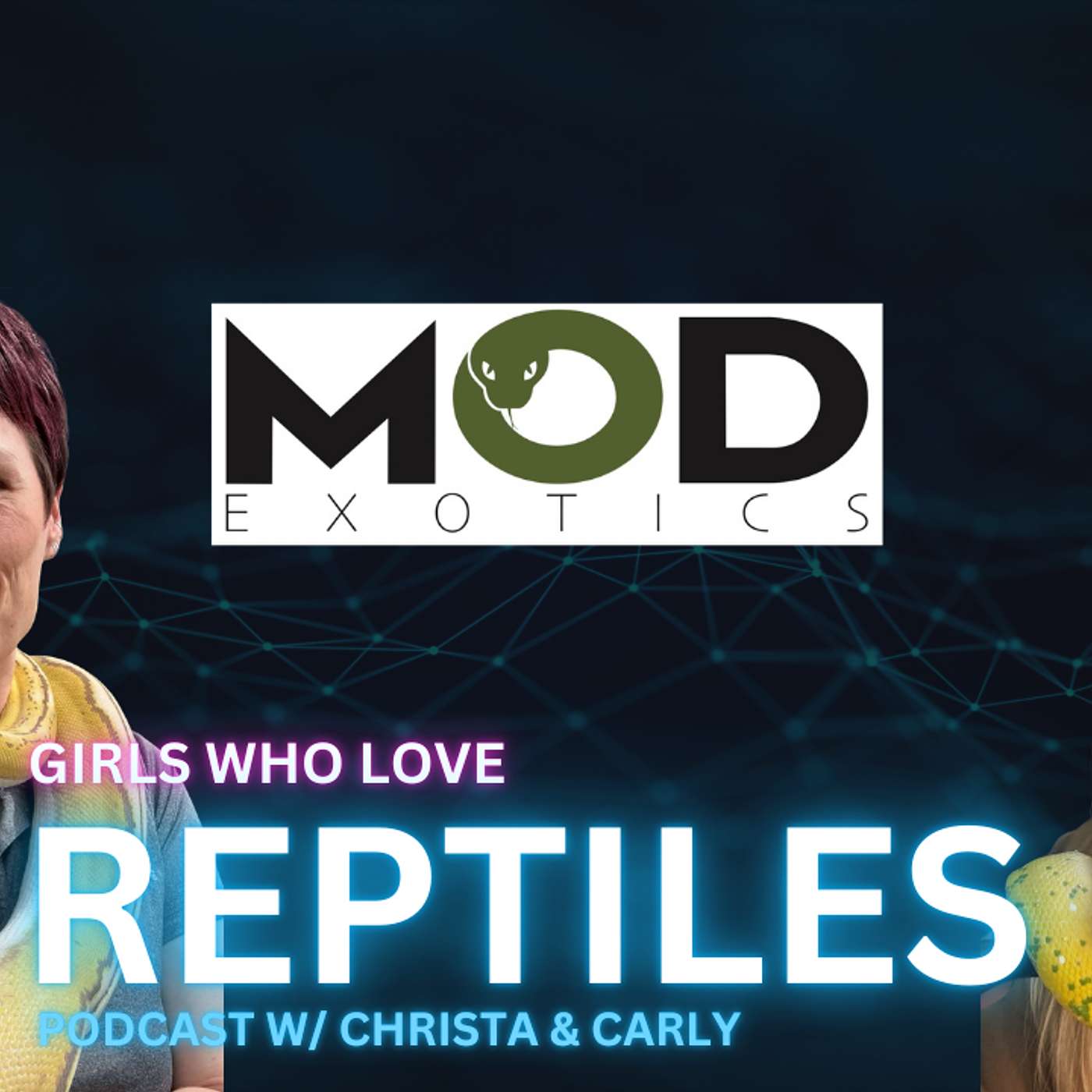 Welcome To The World Of Mini Giants, Dwarf Retic Pythons | Girls Who Love Reptiles Podcast Ep.72