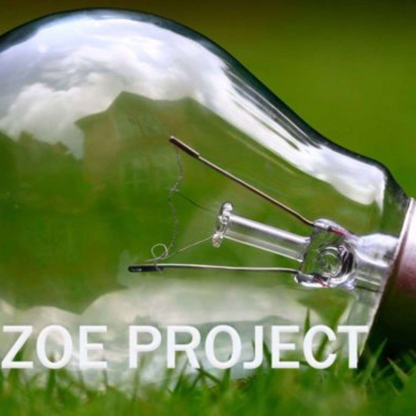 Zoe Project and New Ways of Being Church
