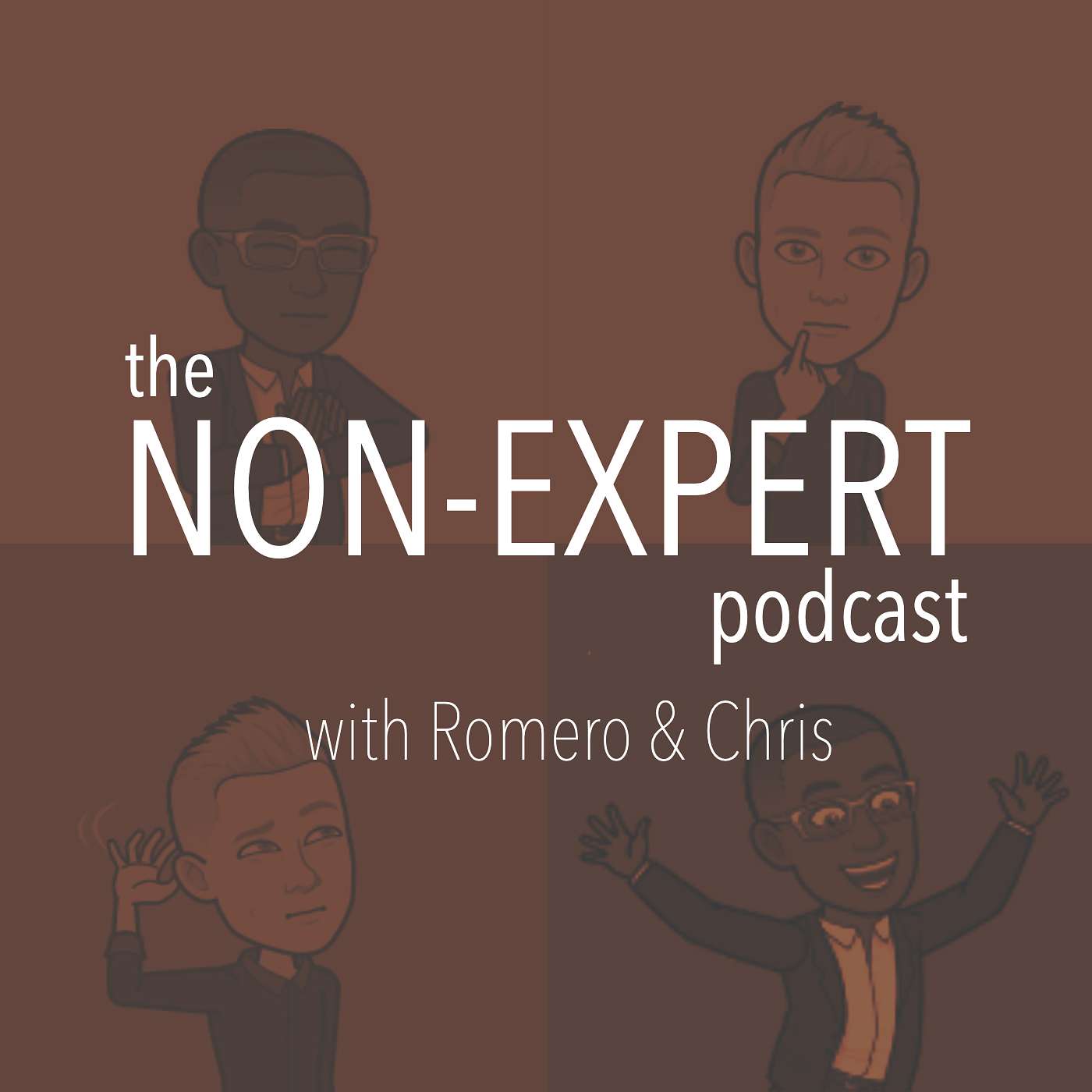 The Non-Experts Podcast