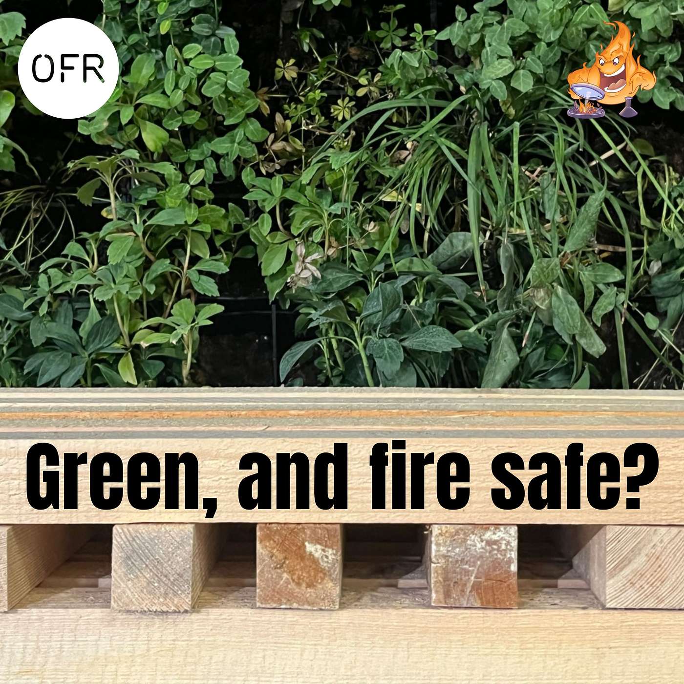 120 - How we have designed a fire safe green wall