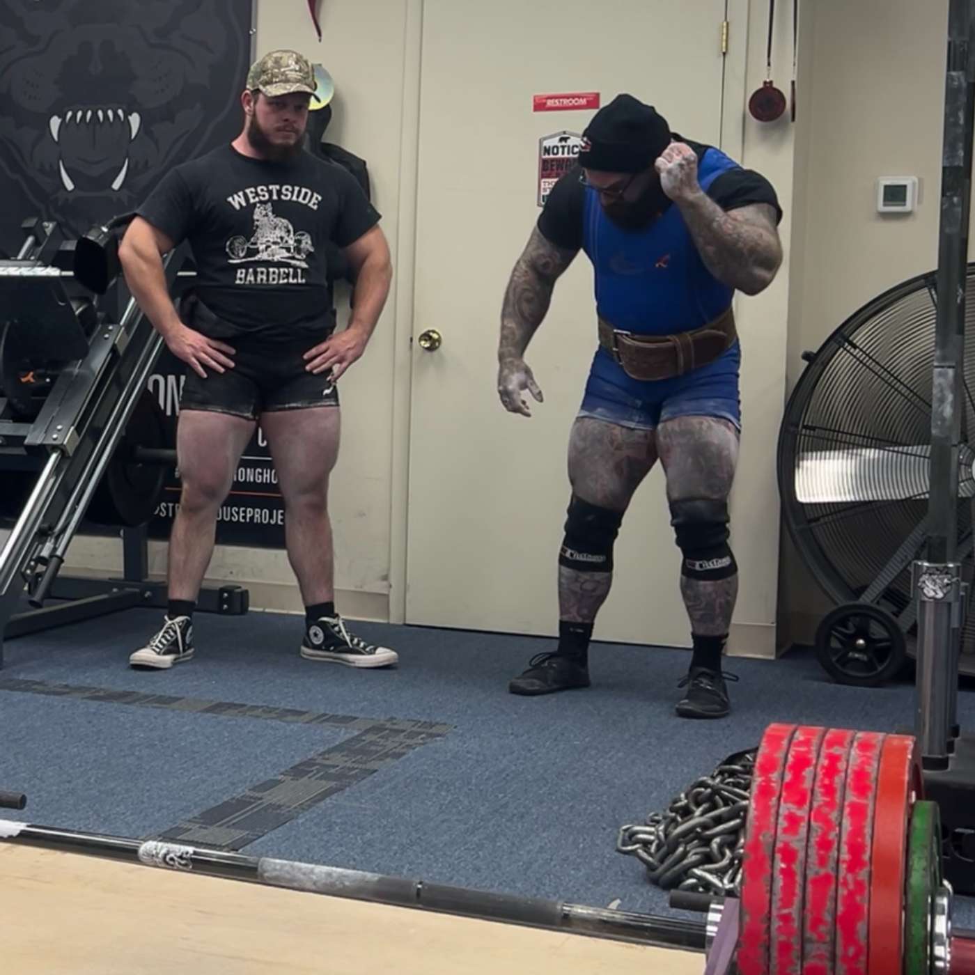 A Forest Through the Trees: A Cave Cast